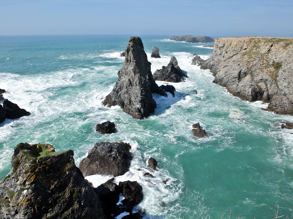 Aiguilles de port coton