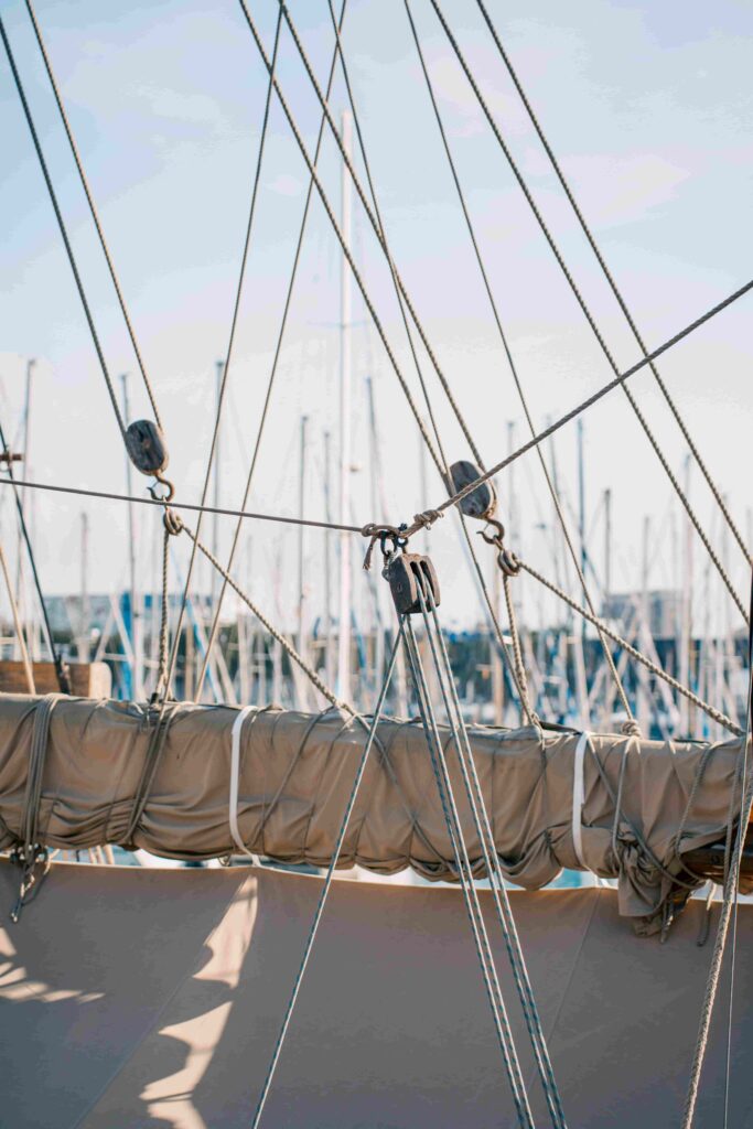 pexels olivia fernandez sosa ()