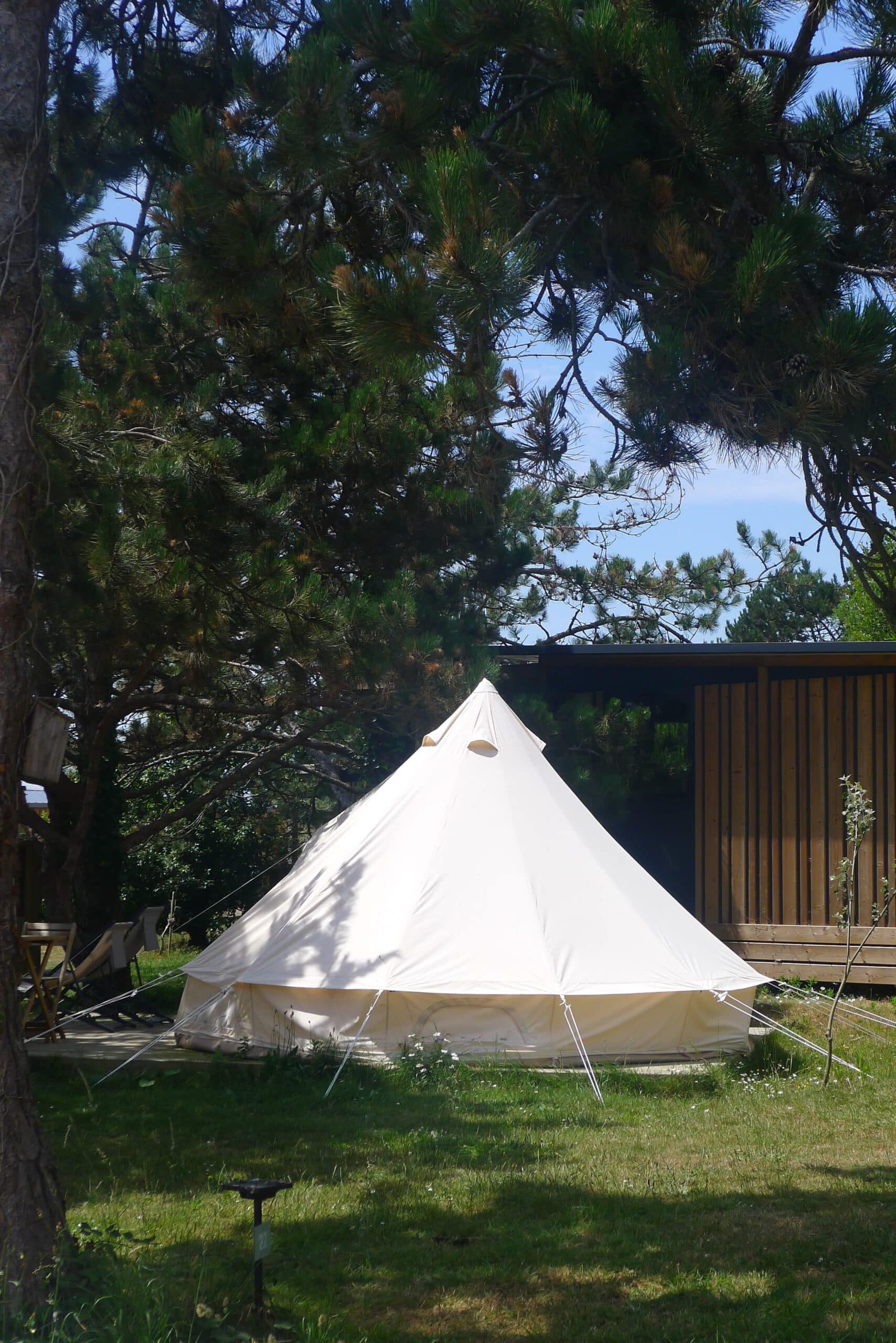 tipi